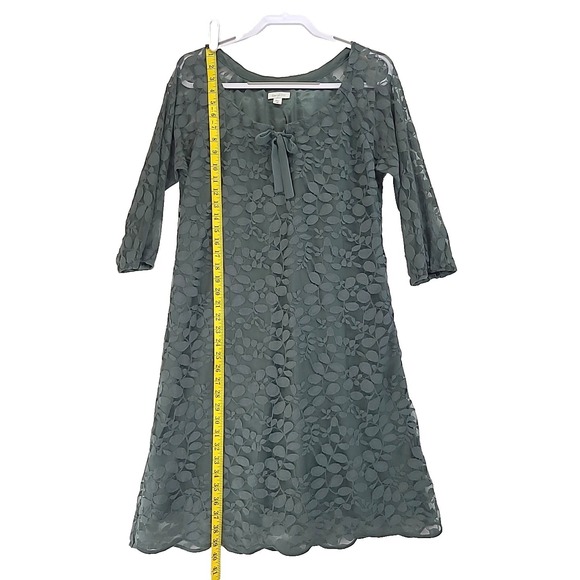 Garnet Hill Dress Sz Medium Green Lace Midi Lined Sheer Floral Overlay Boho - Picture 3 of 7